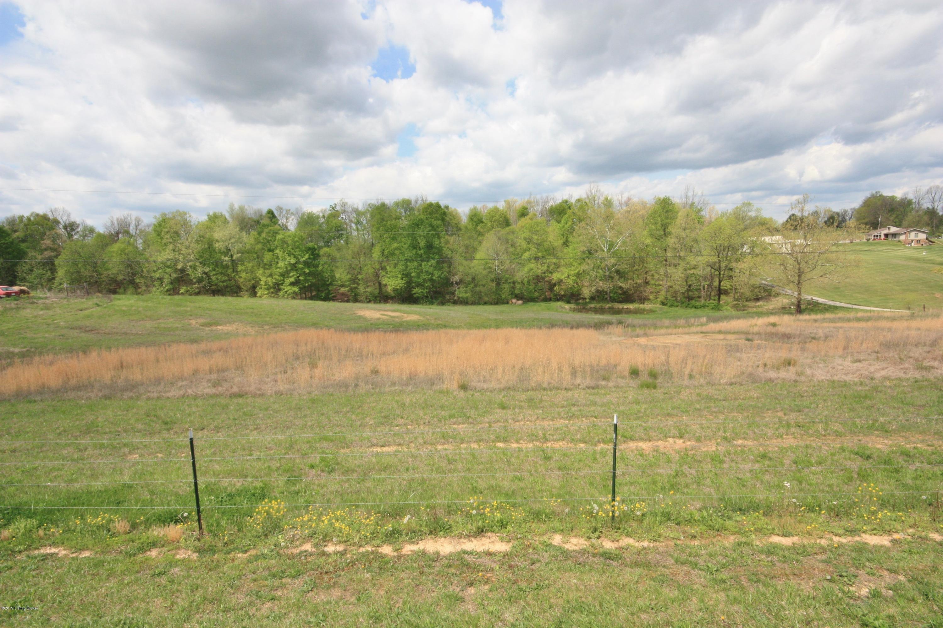 470 Old Peth Road Caneyville, KY 42721 - Photo 18 of 37 17