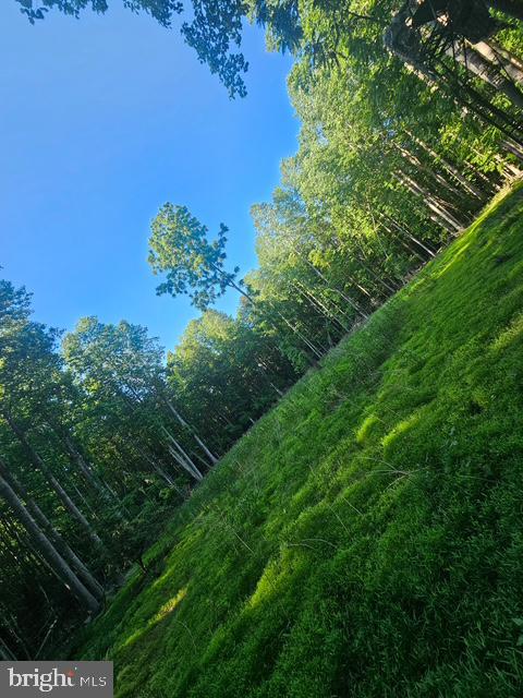 Lot 1 Benson Road Lincoln, DE 19960 - Photo 17 of 17 food plot