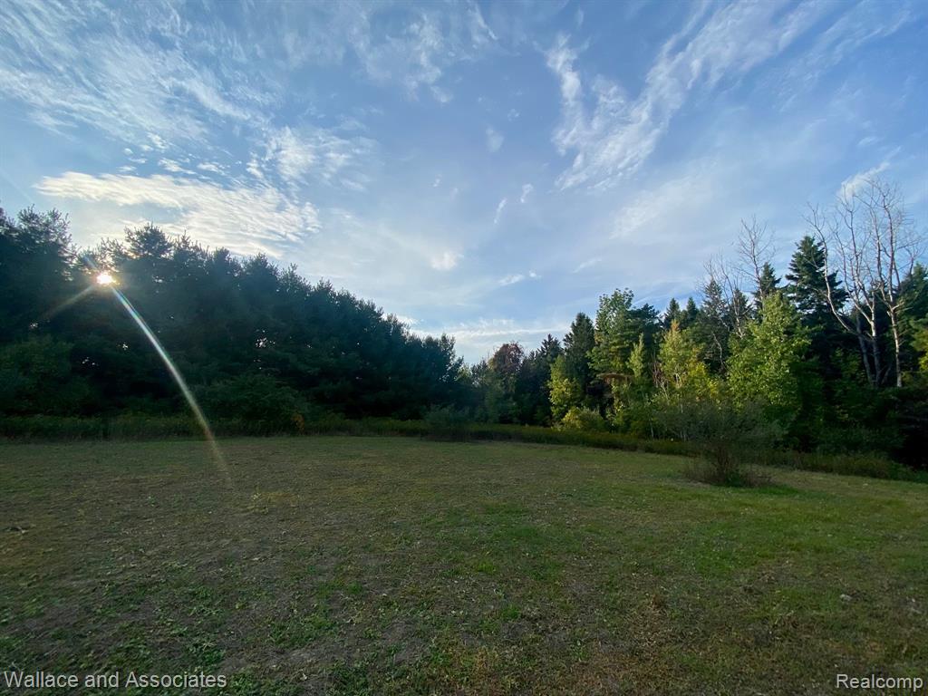 V/l Gardner Line Road Croswell, MI 48422 - Photo 5 of 6