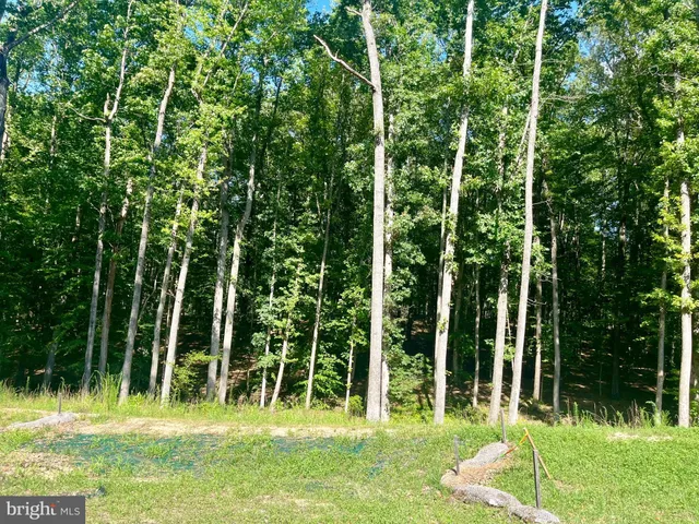 a view of a backyard with swimming pool