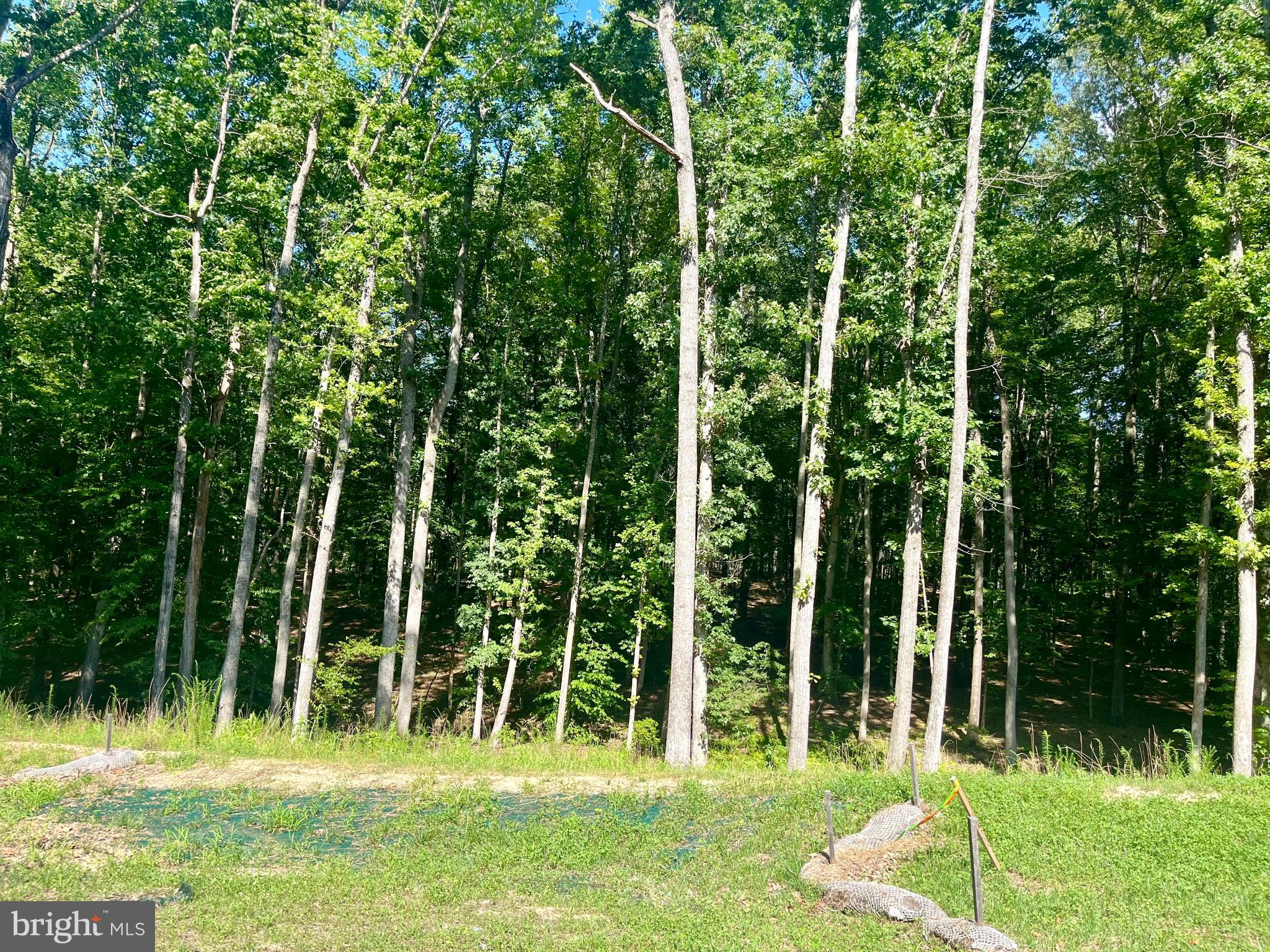 Lot 40 Southern Ridge Mineral, VA 23117 - Photo 2 of 4 a view of a backyard with swimming pool
