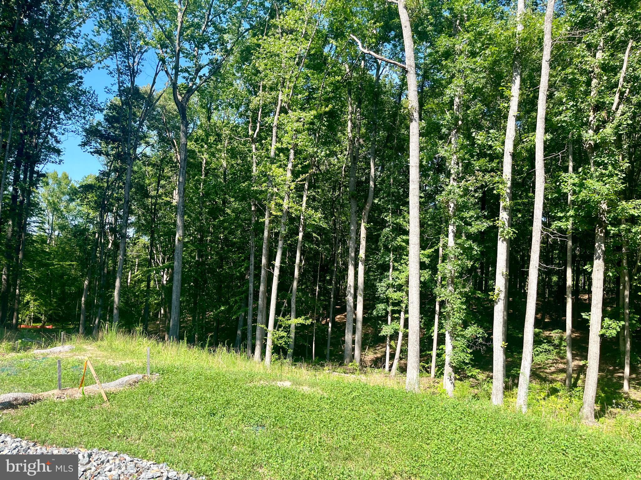 Lot 40 Southern Ridge Mineral, VA 23117 - Photo 3 of 4 a view of a garden
