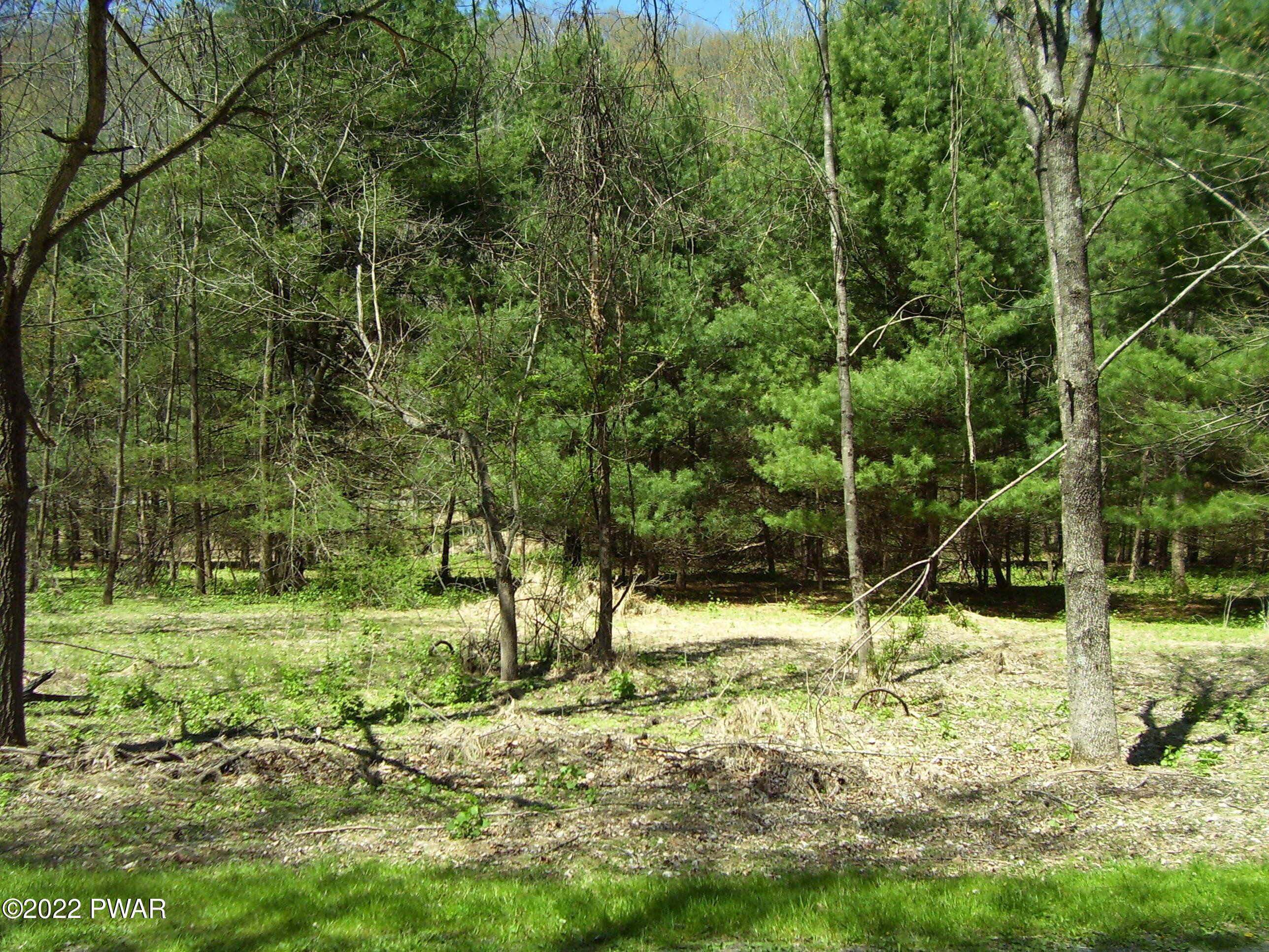 5 St Vincents Point Road Lackawaxen, PA 18435 - Photo 5 of 14
