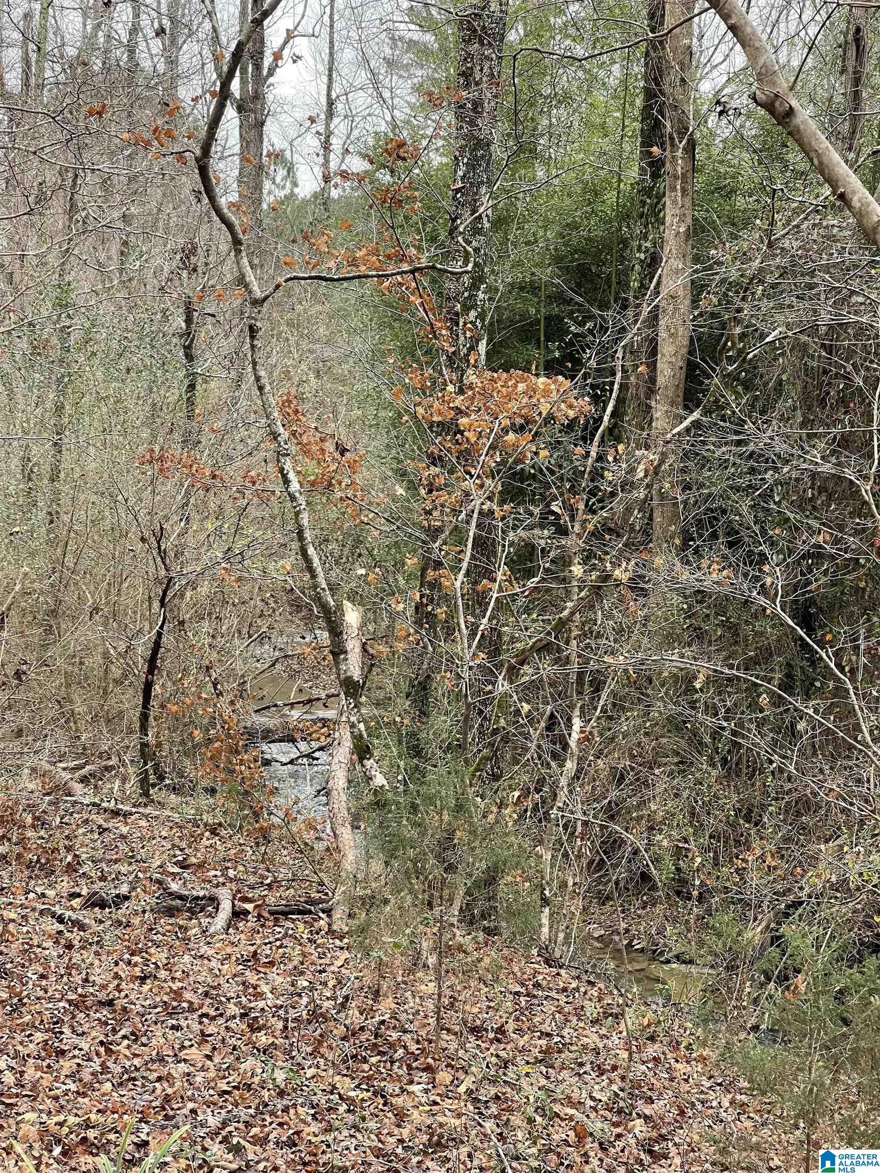 1303 Reid Road Remlap, AL 35133 - Photo 11 of 17 Gallery Image 11