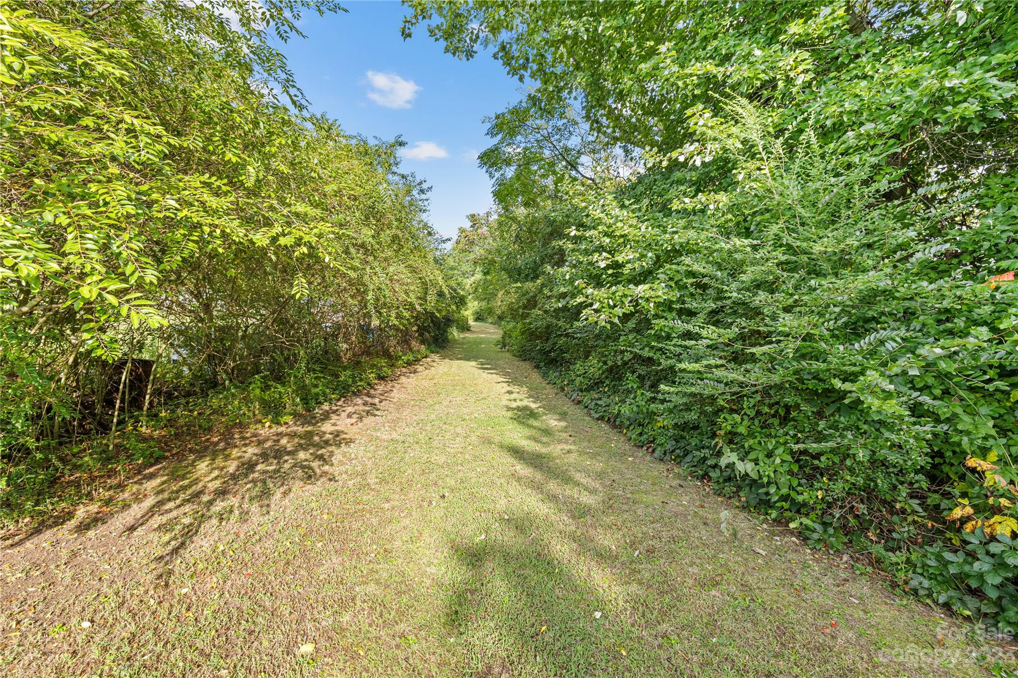 374 Owens Road Clover, SC 29710 - Photo 32 of 42 a view of a yard with a tree