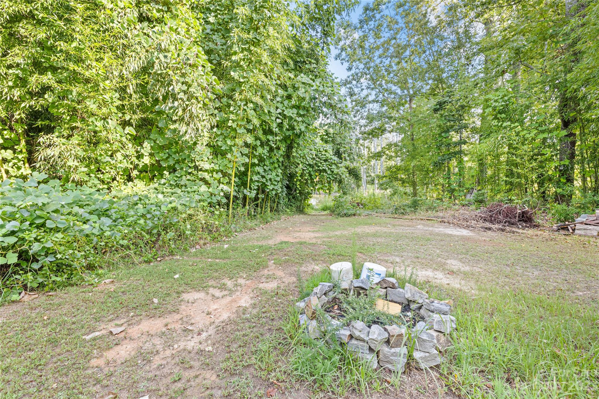 374 Owens Road Clover, SC 29710 - Photo 33 of 42 a view of a garden with plants and a trees