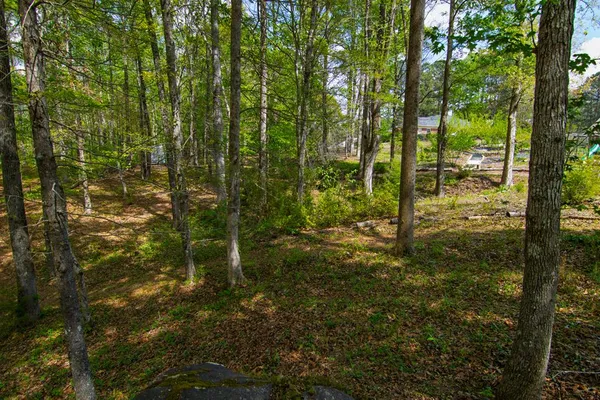 $474,500 | 476 Wildwood Plantation Drive, Cataula, GA 31804