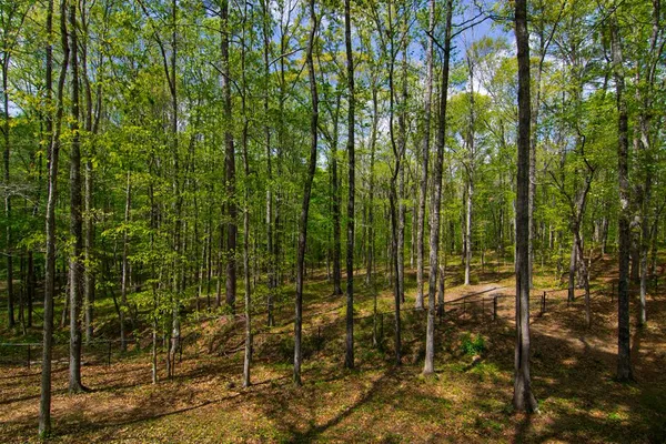 $474,500 | 476 Wildwood Plantation Drive, Cataula, GA 31804