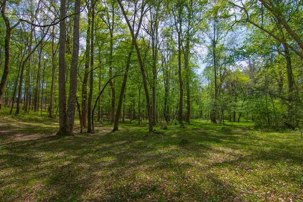 $474,500 | 476 Wildwood Plantation Drive, Cataula, GA 31804