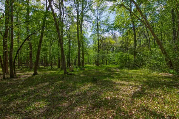 $474,500 | 476 Wildwood Plantation Drive, Cataula, GA 31804