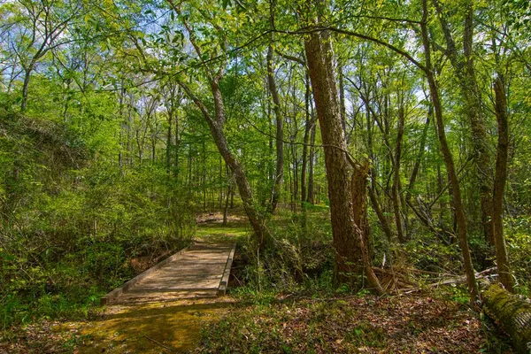 $474,500 | 476 Wildwood Plantation Drive, Cataula, GA 31804