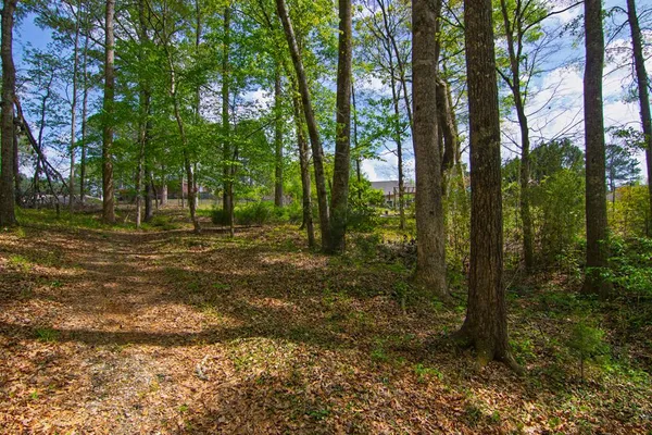 $474,500 | 476 Wildwood Plantation Drive, Cataula, GA 31804