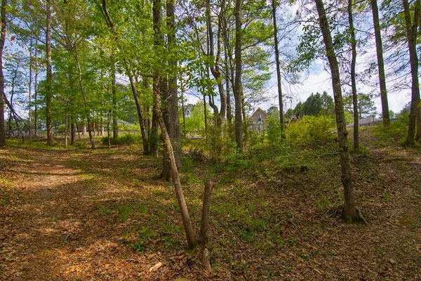 $474,500 | 476 Wildwood Plantation Drive, Cataula, GA 31804