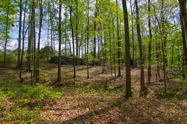 $474,500 | 476 Wildwood Plantation Drive, Cataula, GA 31804