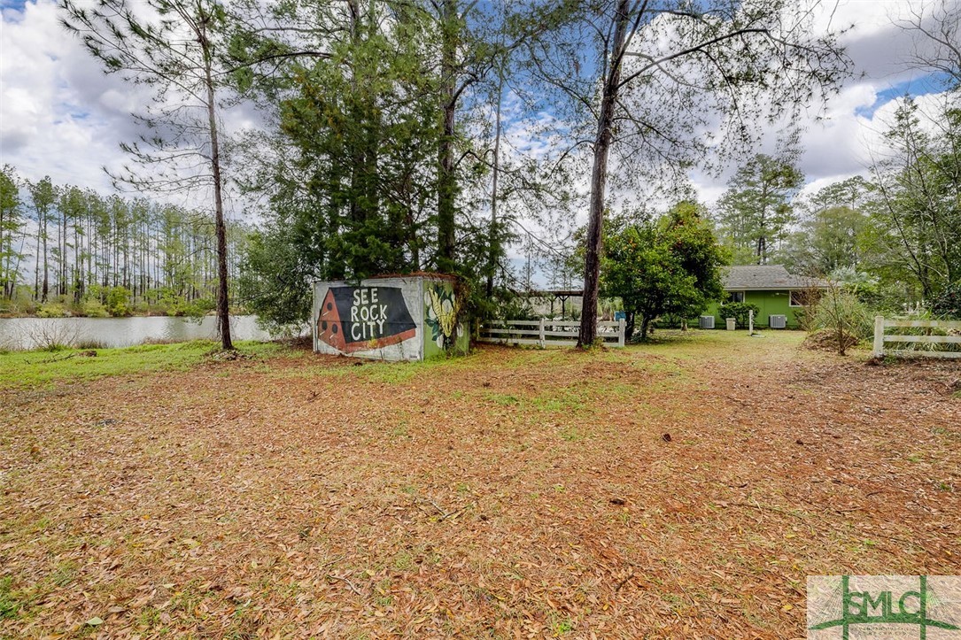 1347 Runs Branch Road Newington, GA 30446 - Photo 38 of 50