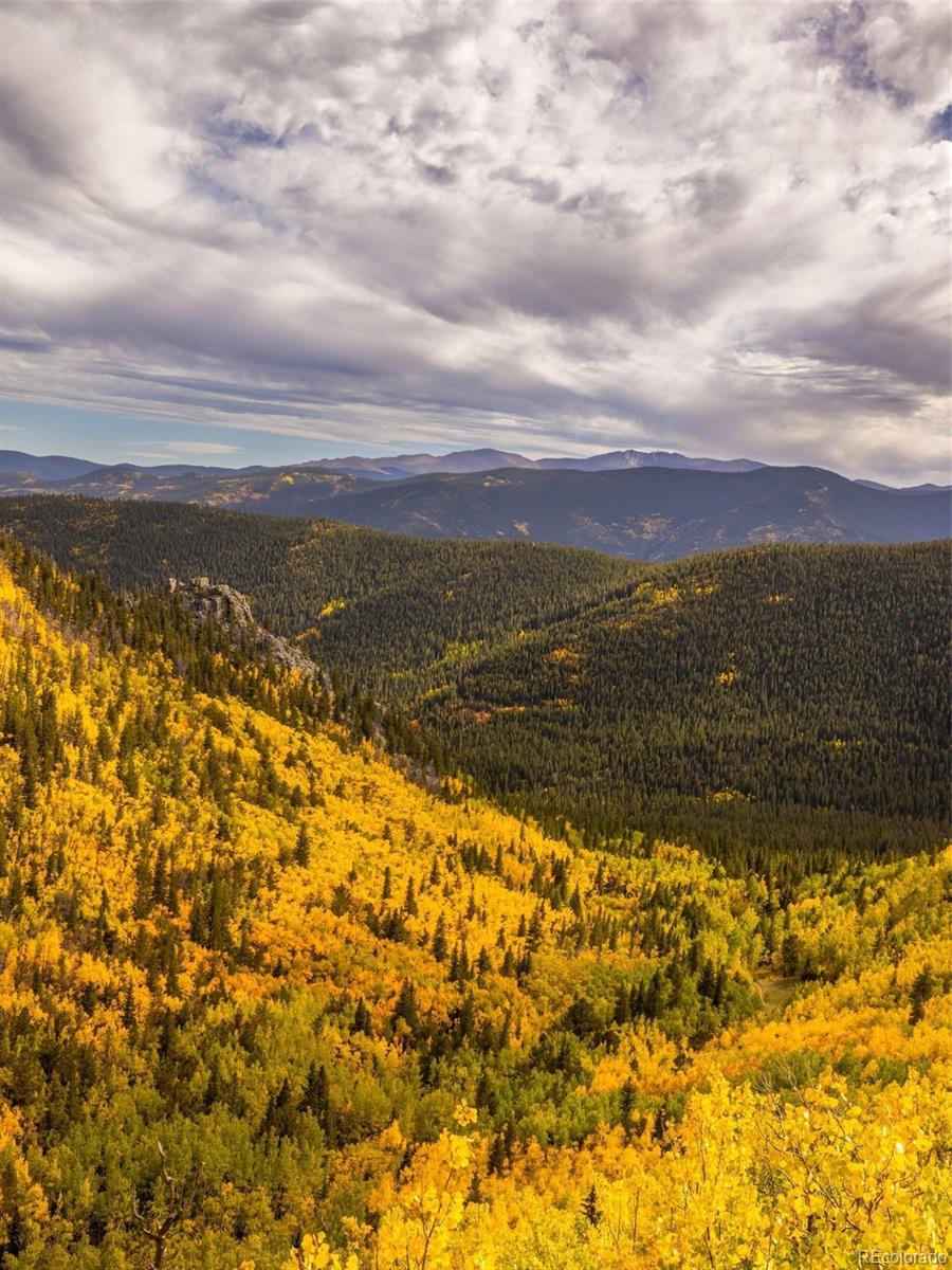 258 Upper Forest Road Idaho Springs, CO 80452 - Photo 41 of 48 a view of an ocean