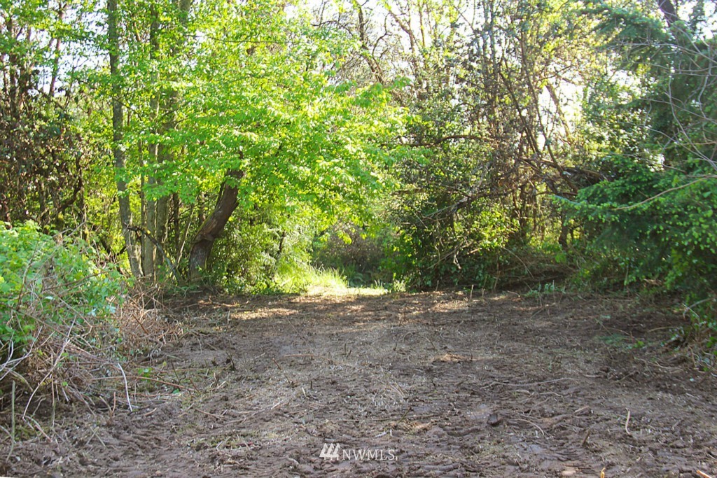 49-xx Southwest Point Robinson Road Vashon, WA 98070 - Photo 3 of 10