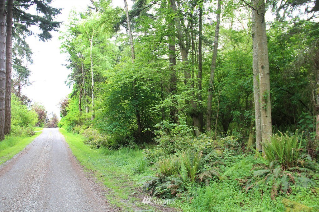 49-xx Southwest Point Robinson Road Vashon, WA 98070 - Photo 7 of 10