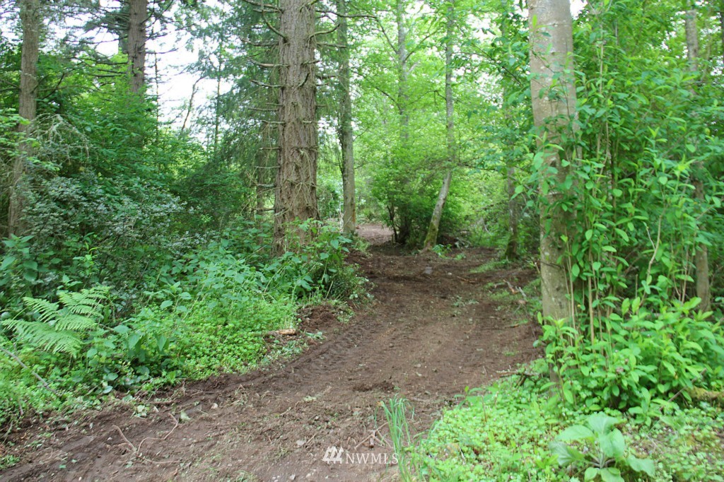 49-xx Southwest Point Robinson Road Vashon, WA 98070 - Photo 8 of 10