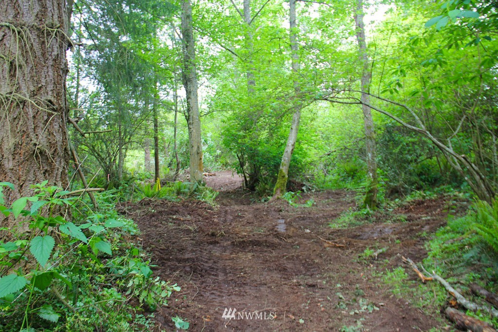 49-xx Southwest Point Robinson Road Vashon, WA 98070 - Photo 9 of 10
