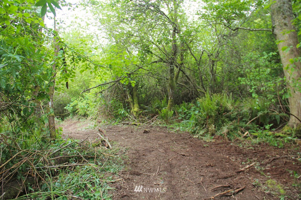 49-xx Southwest Point Robinson Road Vashon, WA 98070 - Photo 10 of 10