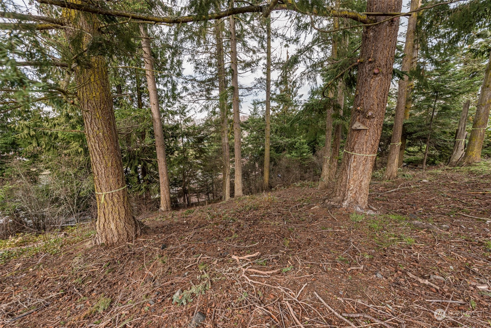 114 Ridgetop Place Sequim, WA 98382 - Photo 12 of 28