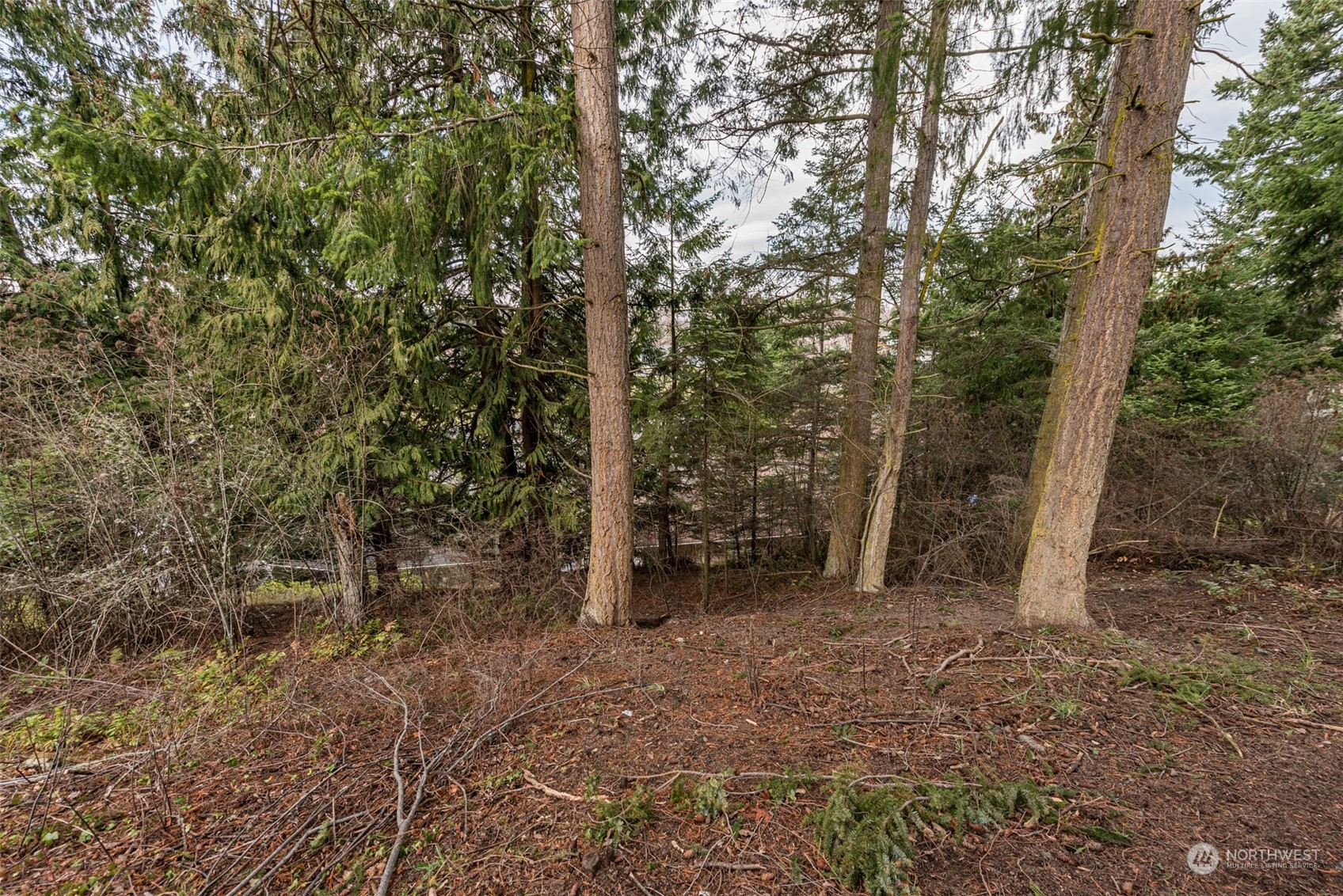 114 Ridgetop Place Sequim, WA 98382 - Photo 13 of 28