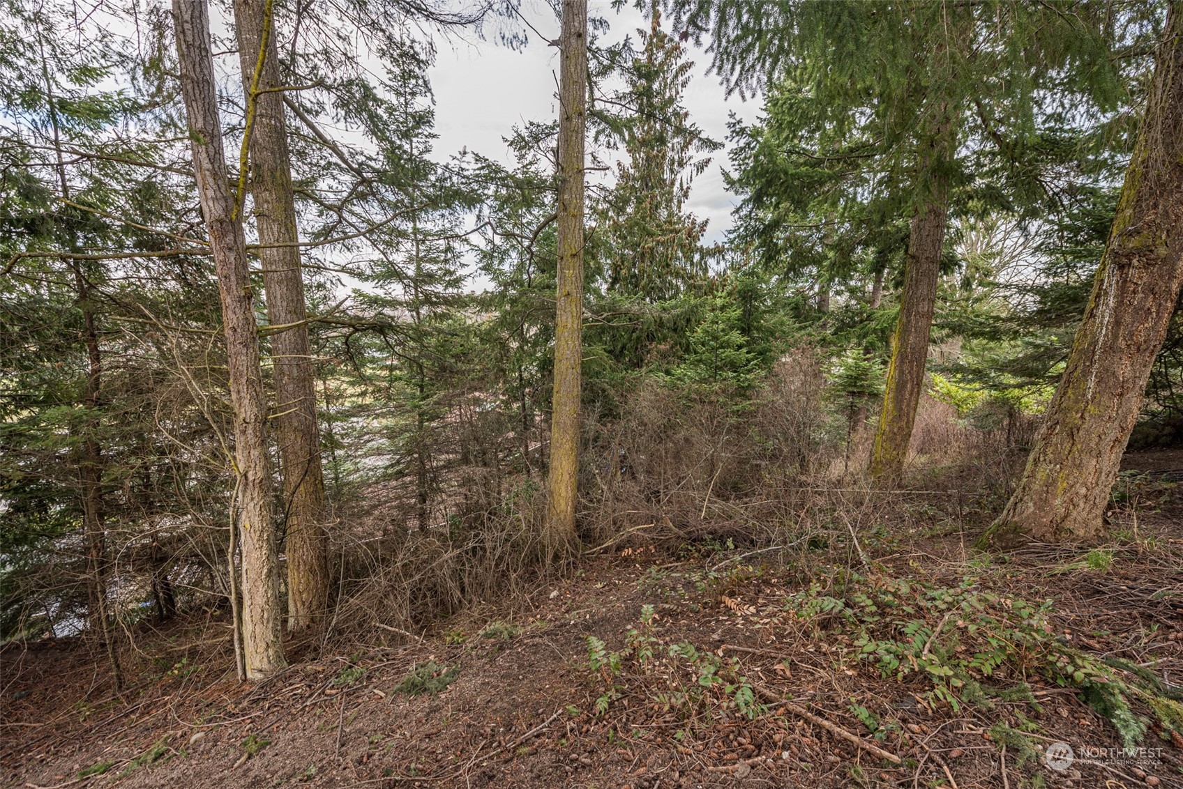 114 Ridgetop Place Sequim, WA 98382 - Photo 14 of 28