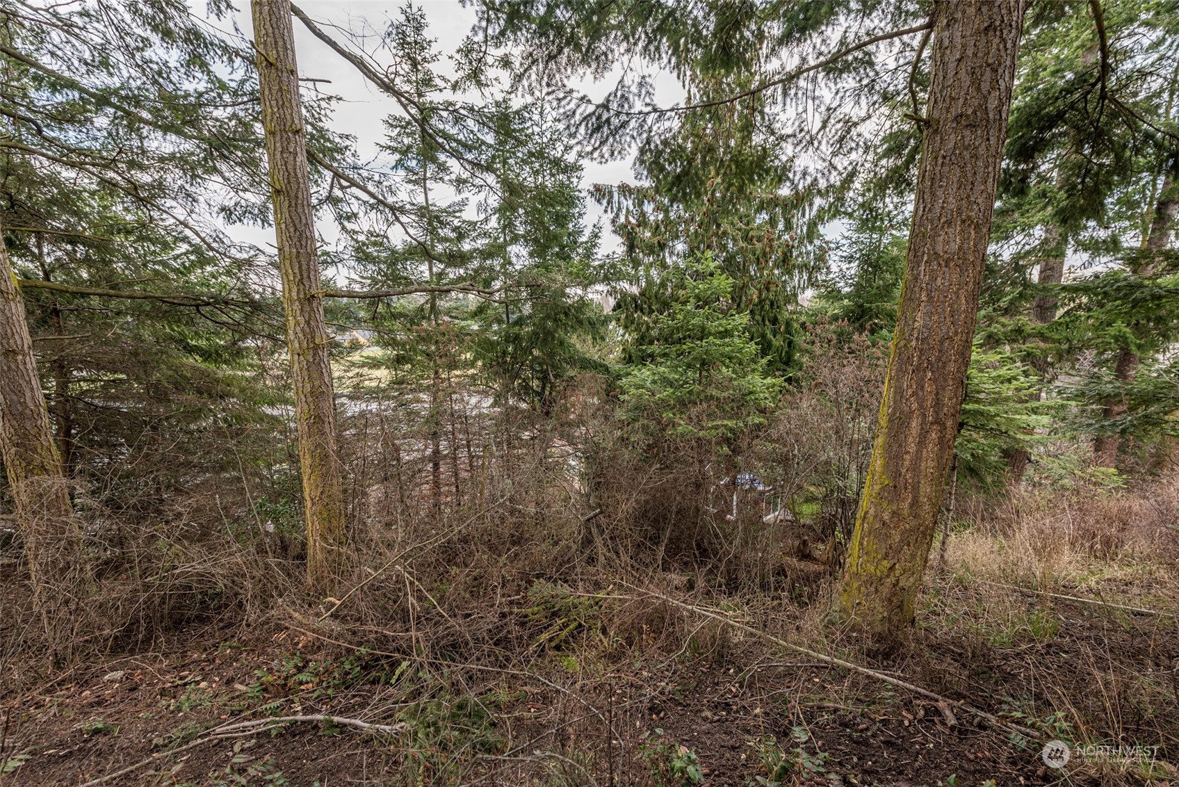 114 Ridgetop Place Sequim, WA 98382 - Photo 15 of 28