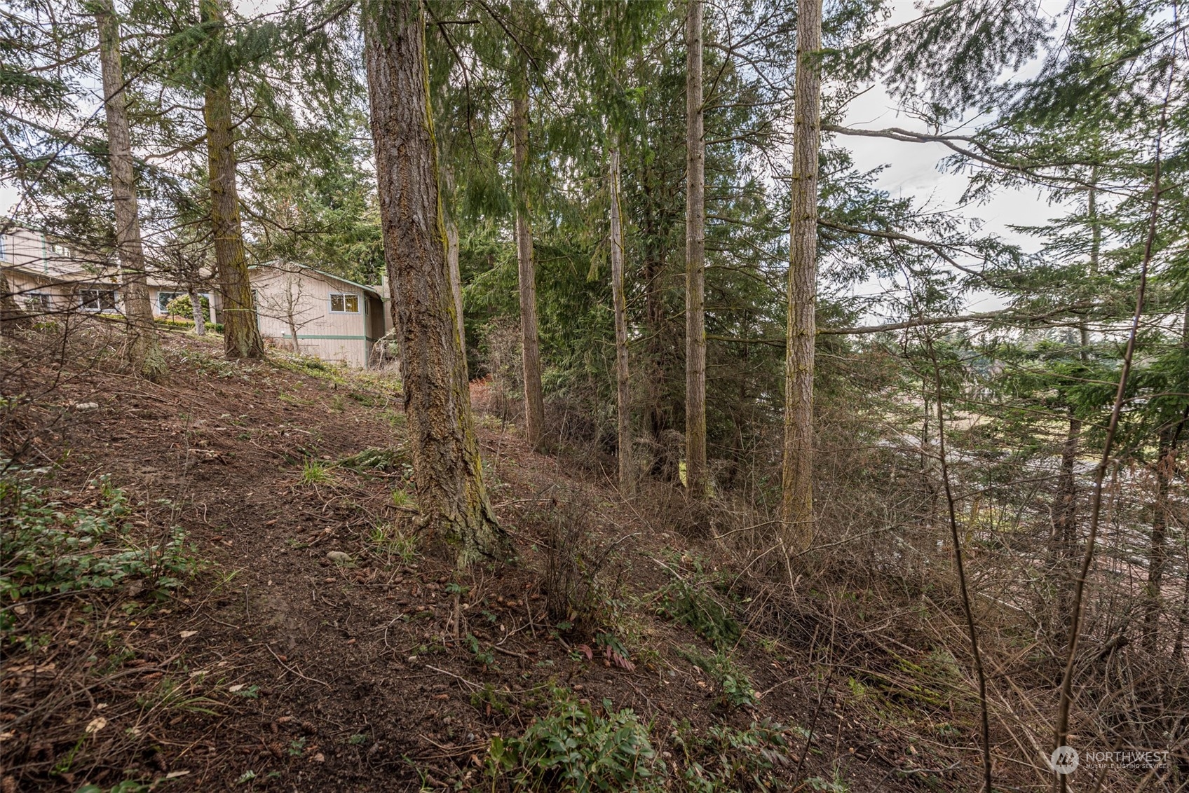 114 Ridgetop Place Sequim, WA 98382 - Photo 16 of 28