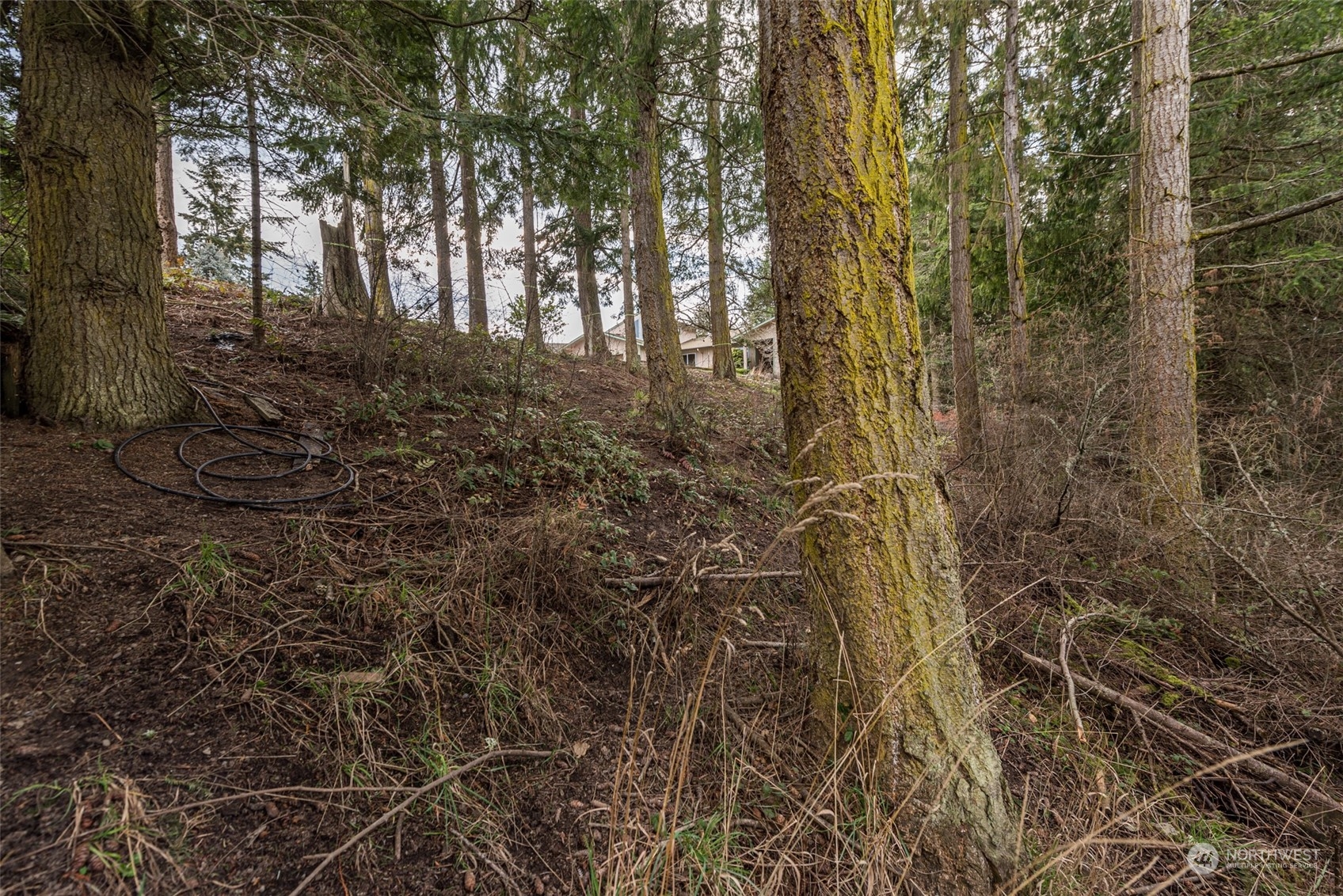 114 Ridgetop Place Sequim, WA 98382 - Photo 17 of 28