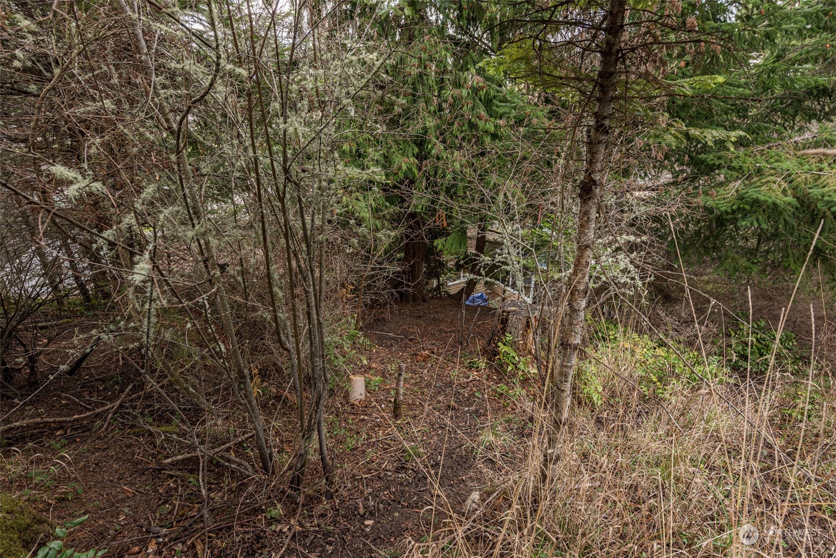 114 Ridgetop Place Sequim, WA 98382 - Photo 18 of 28