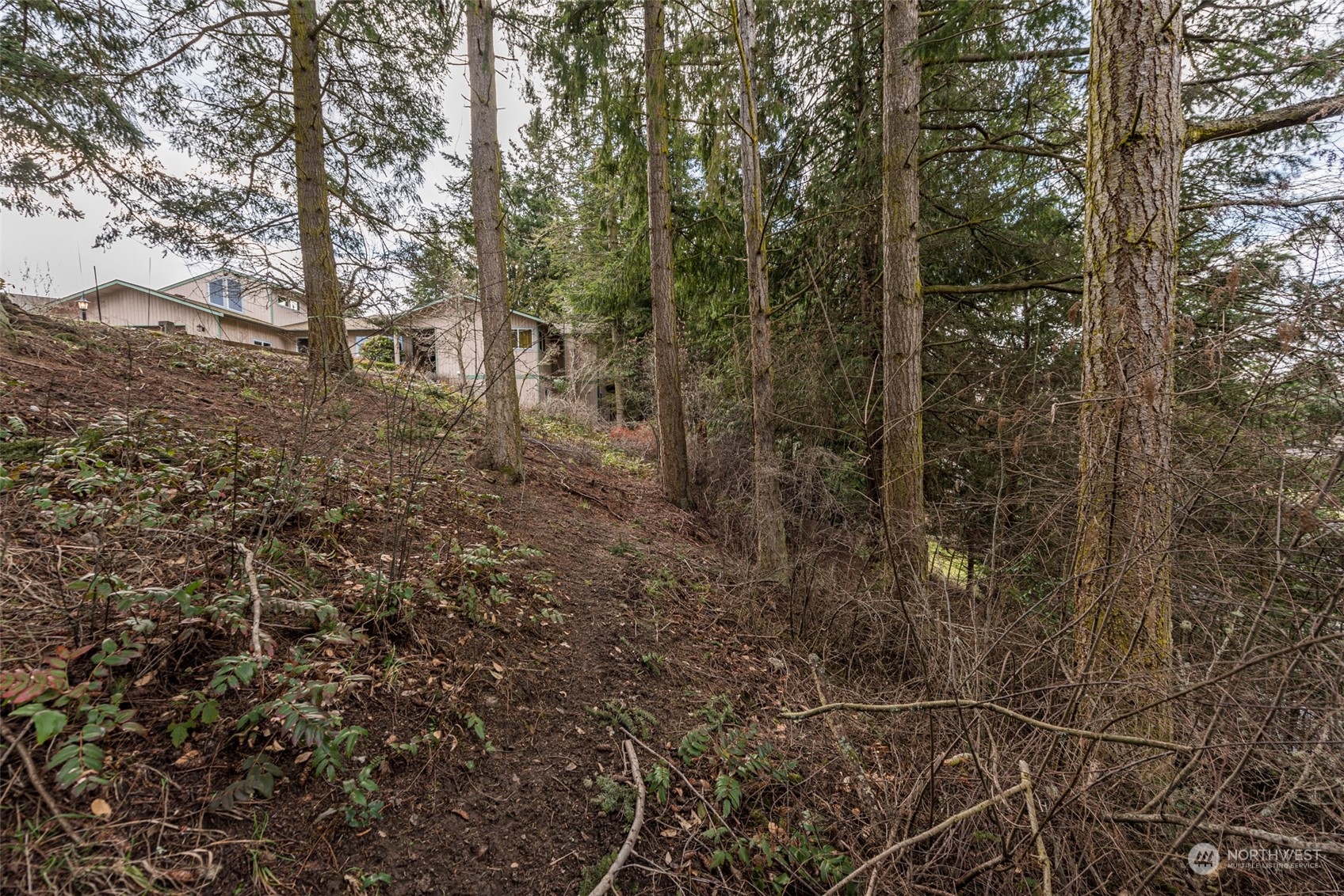 114 Ridgetop Place Sequim, WA 98382 - Photo 19 of 28