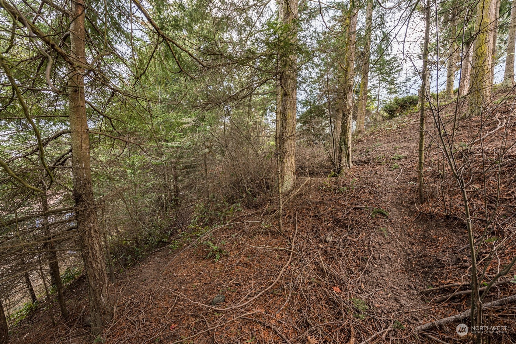 114 Ridgetop Place Sequim, WA 98382 - Photo 21 of 28