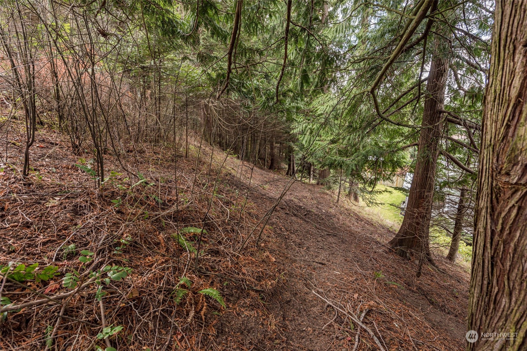 114 Ridgetop Place Sequim, WA 98382 - Photo 22 of 28