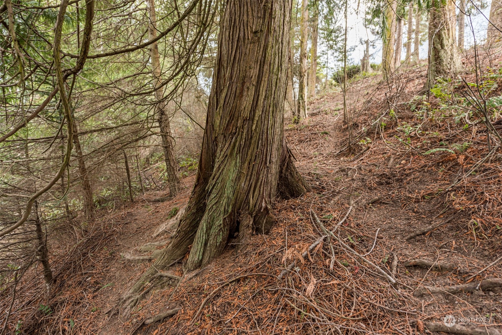 114 Ridgetop Place Sequim, WA 98382 - Photo 23 of 28
