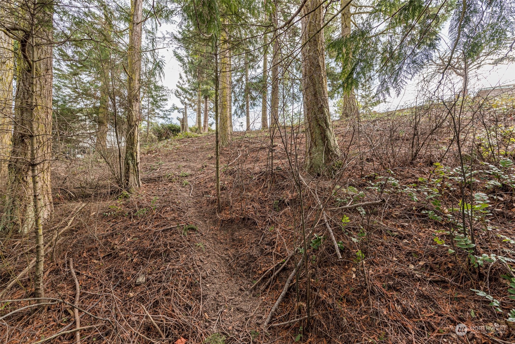 114 Ridgetop Place Sequim, WA 98382 - Photo 24 of 28