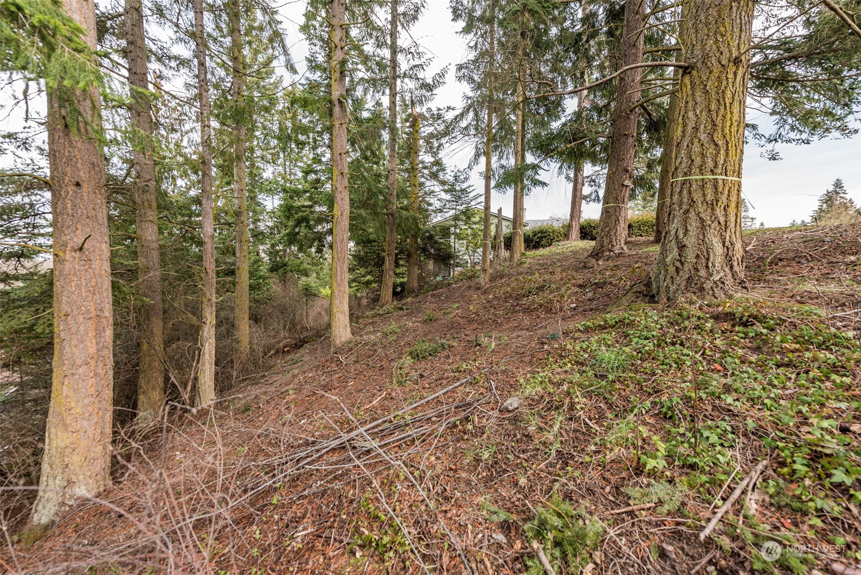 114 Ridgetop Place Sequim, WA 98382 - Photo 26 of 28