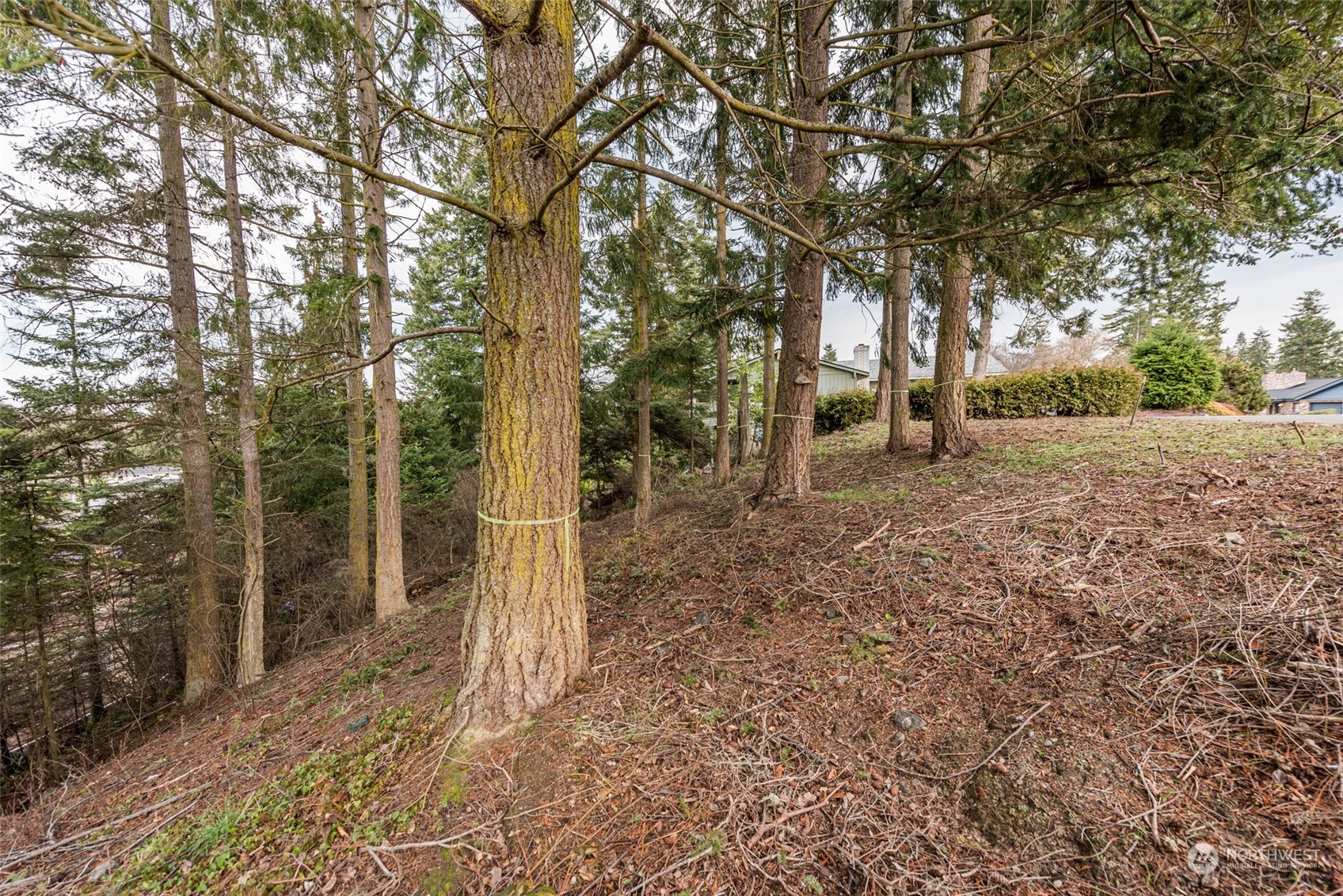 114 Ridgetop Place Sequim, WA 98382 - Photo 27 of 28