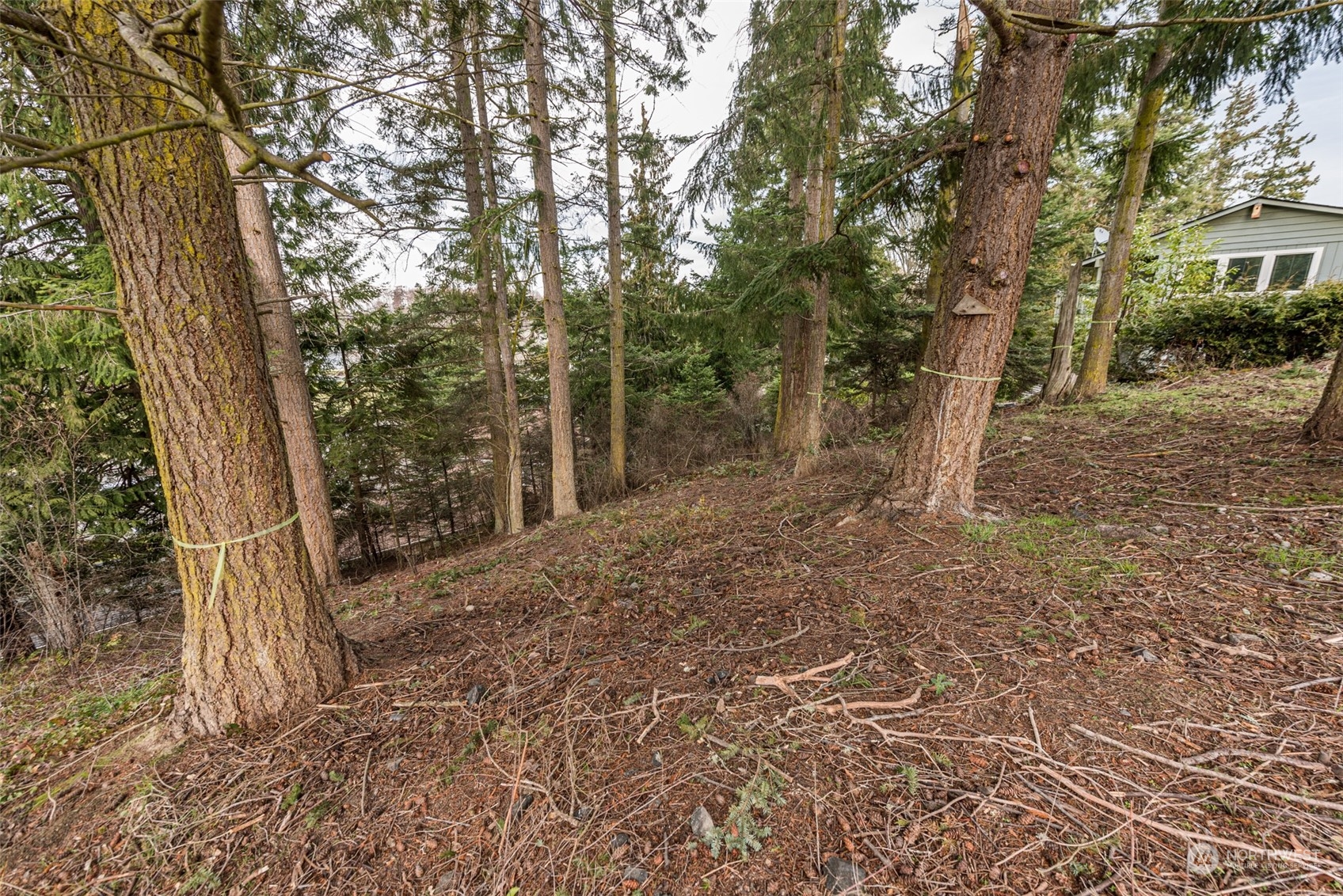 114 Ridgetop Place Sequim, WA 98382 - Photo 28 of 28