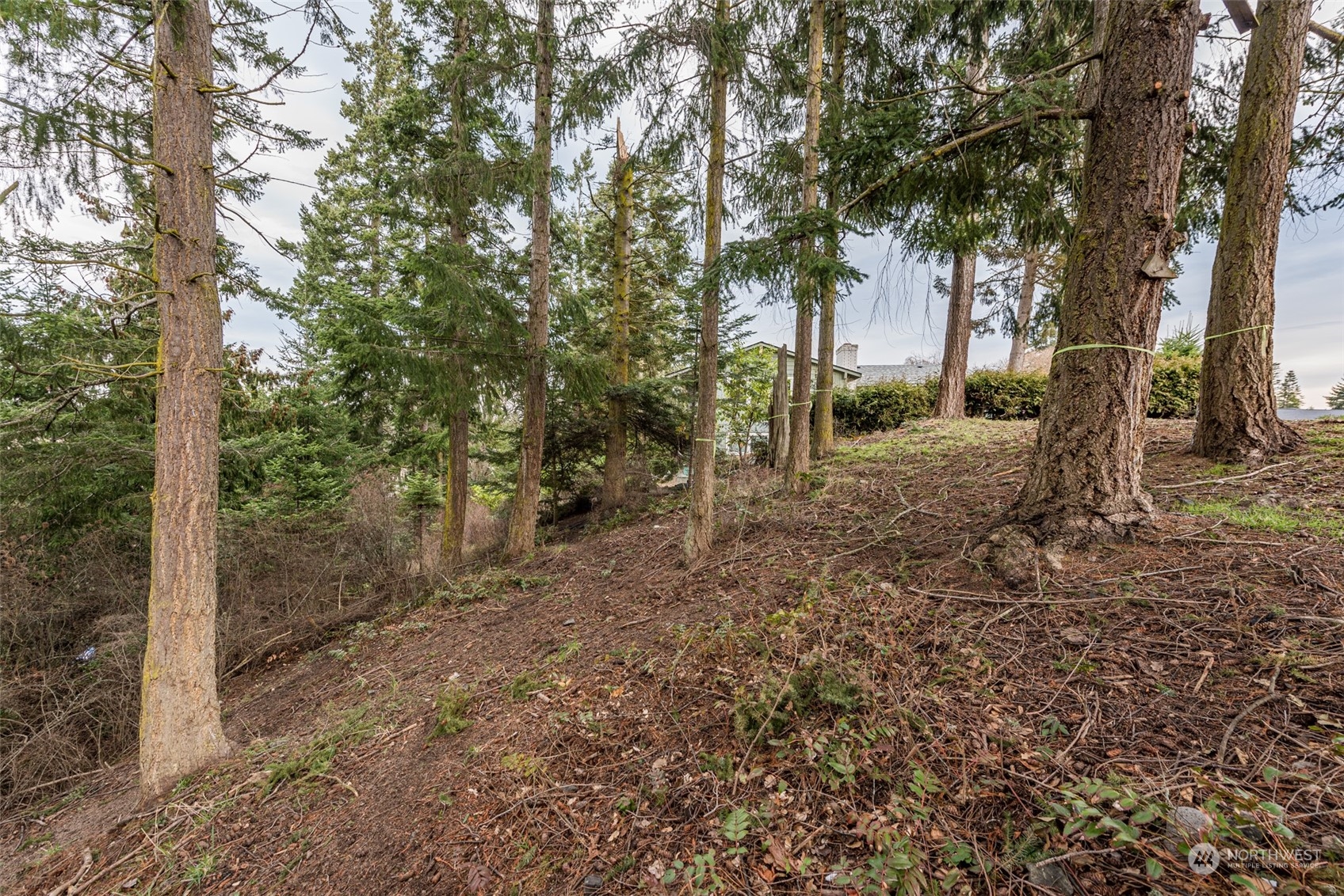 114 Ridgetop Place Sequim, WA 98382 - Photo 4 of 28