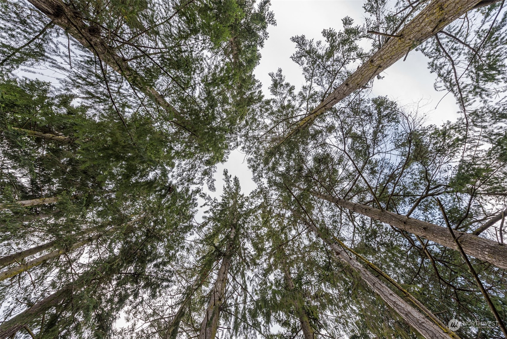 114 Ridgetop Place Sequim, WA 98382 - Photo 5 of 28