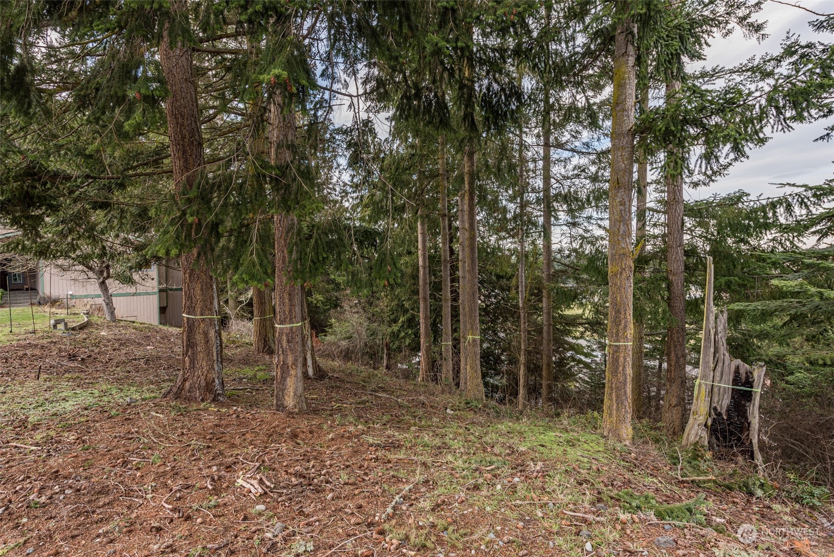 114 Ridgetop Place Sequim, WA 98382 - Photo 9 of 28