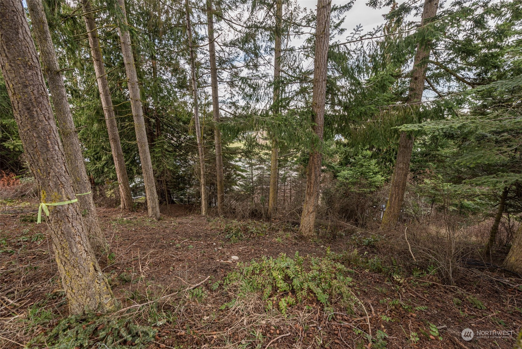 114 Ridgetop Place Sequim, WA 98382 - Photo 10 of 28