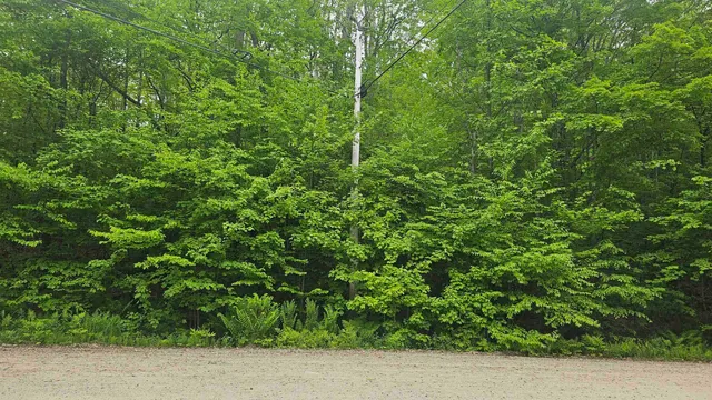 $44,900 | M111-l24&25 Tigola Trail, Stoddard, NH 03464