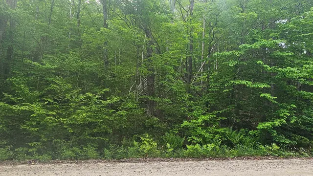 $44,900 | M111-l24&25 Tigola Trail, Stoddard, NH 03464