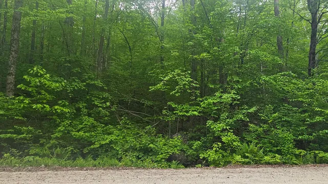 $44,900 | M111-l24&25 Tigola Trail, Stoddard, NH 03464