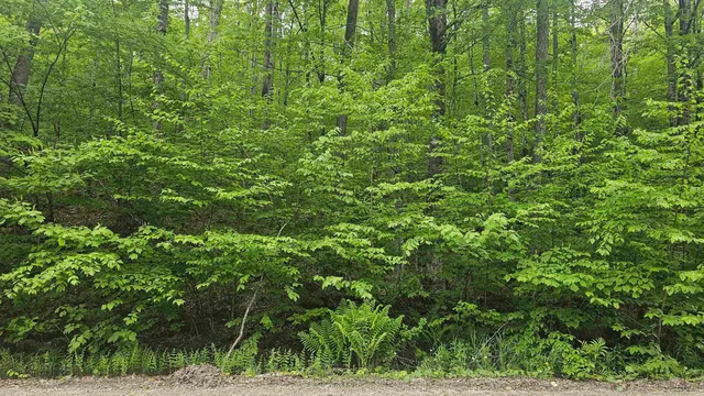 $44,900 | M111-l24&25 Tigola Trail, Stoddard, NH 03464