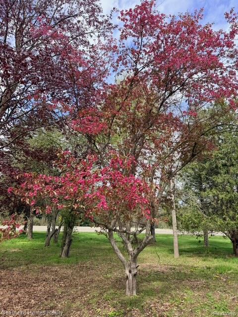 Vl Sashabaw Road Clarkston, MI 48348 - Photo 14 of 22