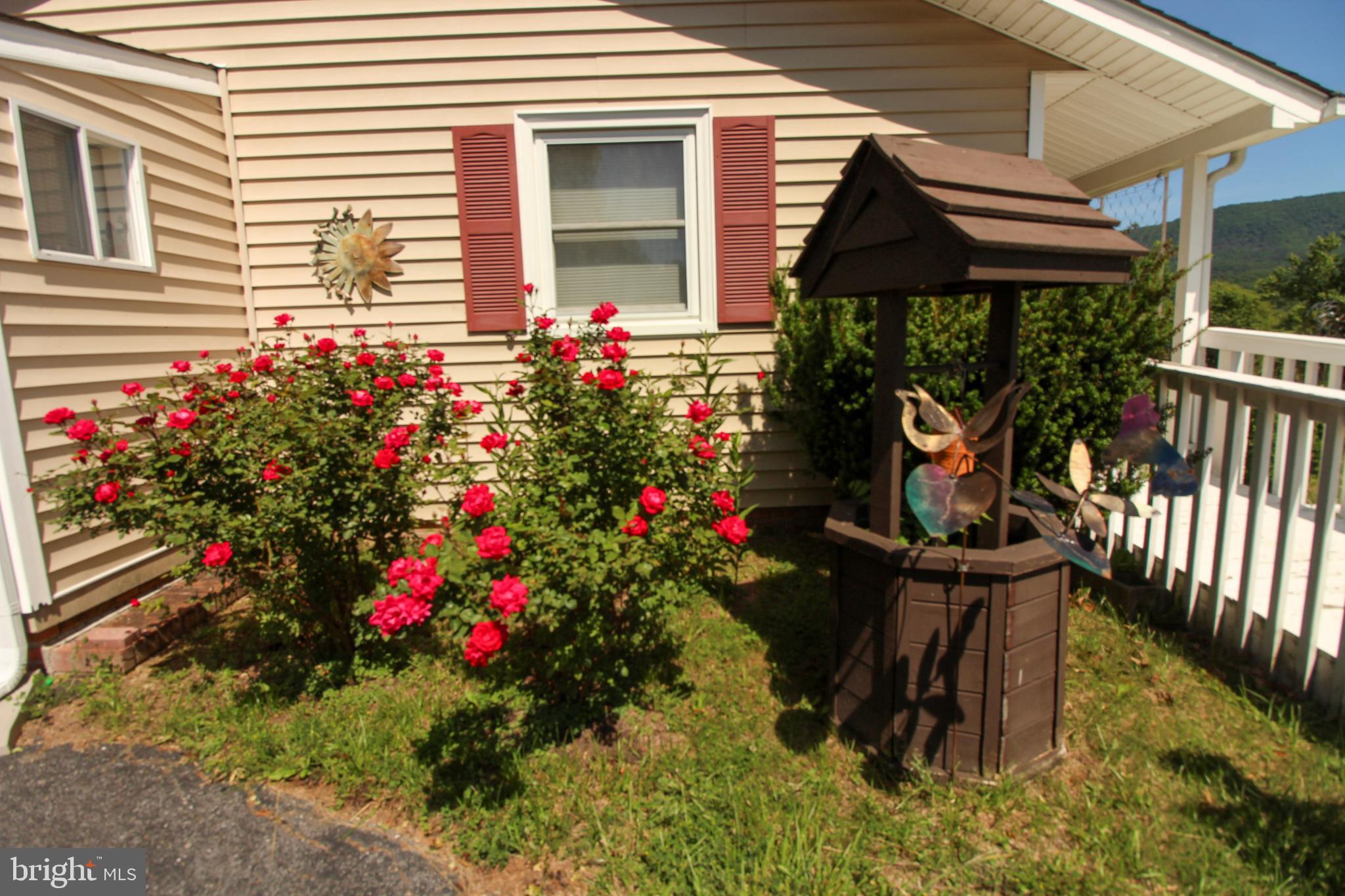 4250 Palmyra Church Road Edinburg, VA 22824 - Photo 21 of 24 Beautiful landscaping!